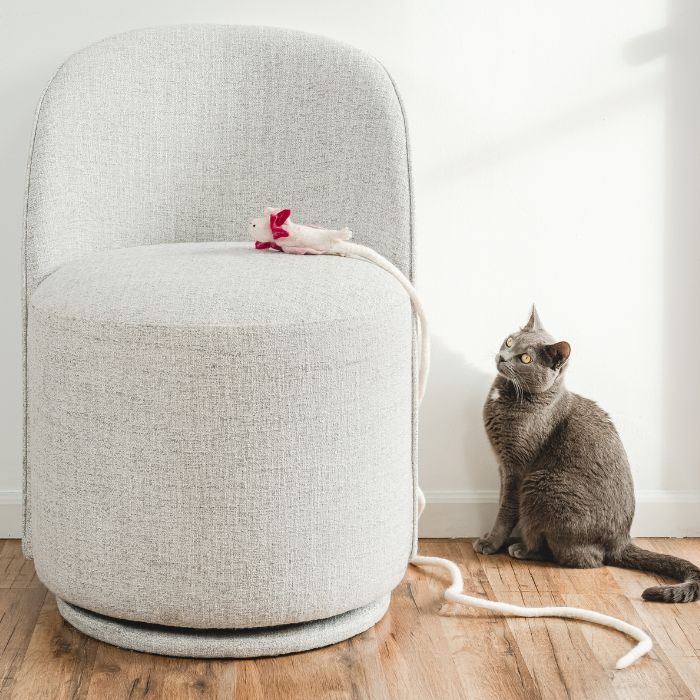 A Little 'Lotl - An Axolotl Wool Cat Toy - Image 10