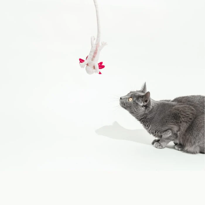 A Little 'Lotl - An Axolotl Wool Cat Toy - Image 5