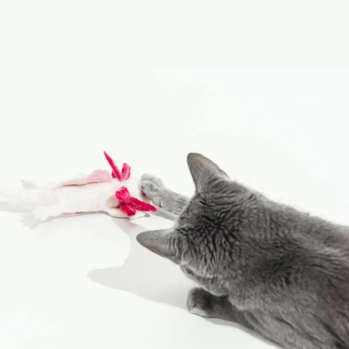 A Little 'Lotl - An Axolotl Wool Cat Toy - Image 6
