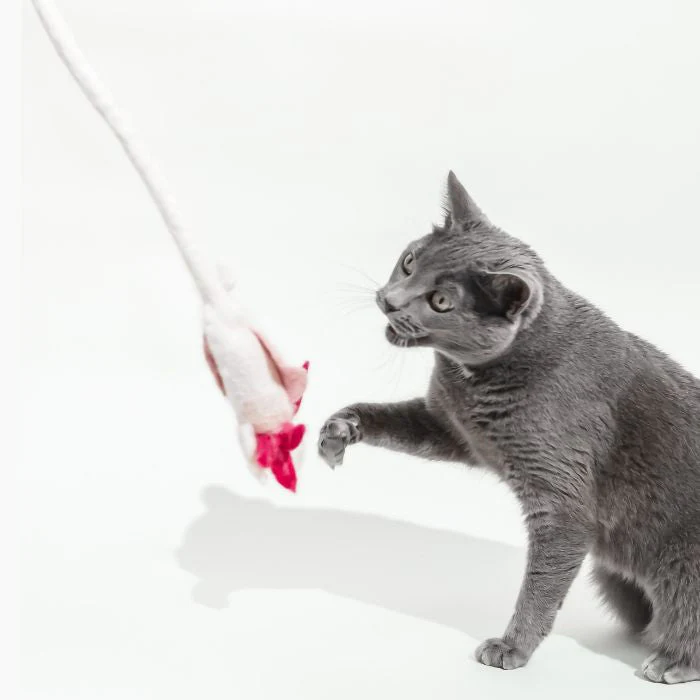 A Little 'Lotl - An Axolotl Wool Cat Toy - Image 8