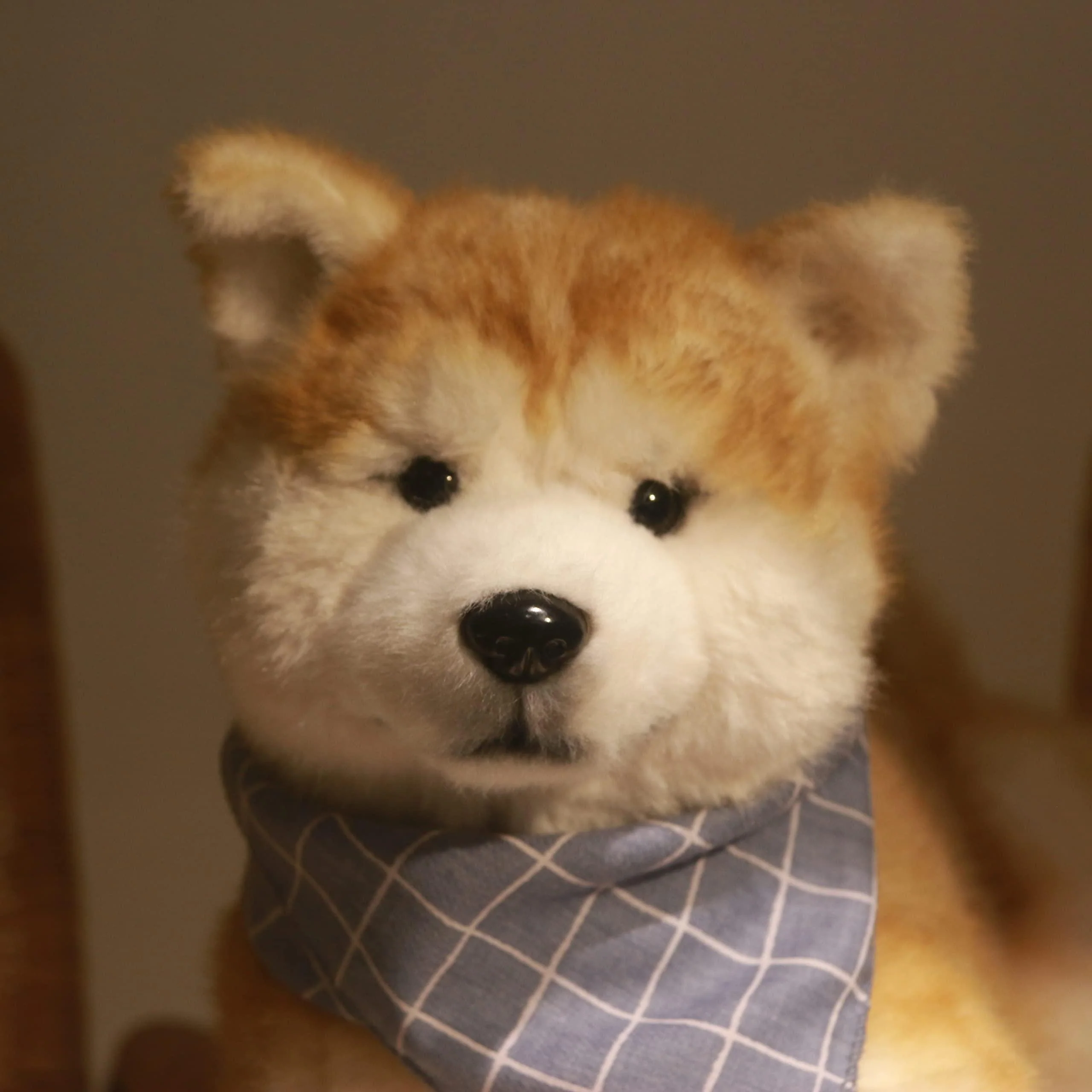 Akita Dog Plush – Cuddly Gift for Dog Lovers - Image 5