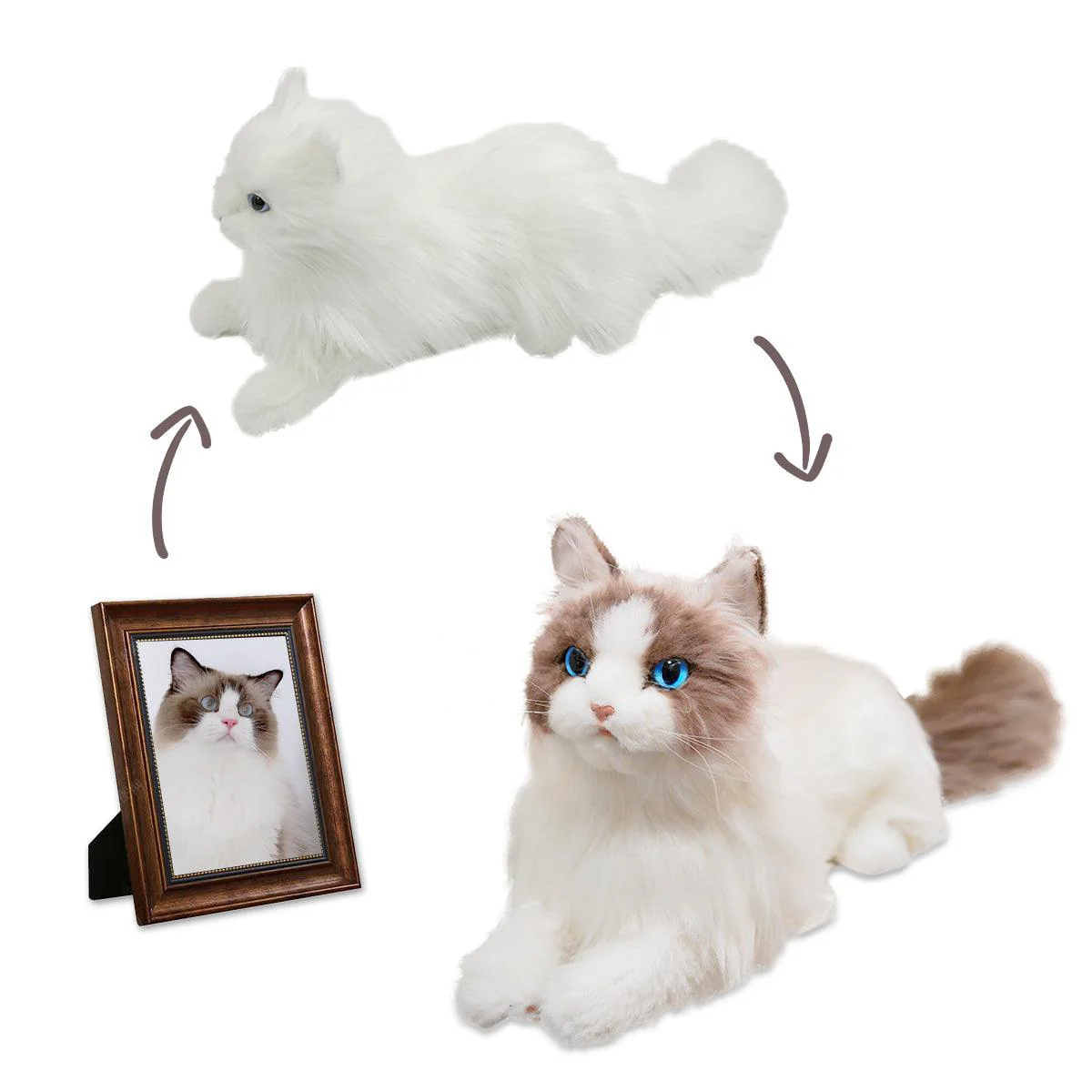 Basic Custom Cat Plush – Personalized Pet Unique Gift Idea