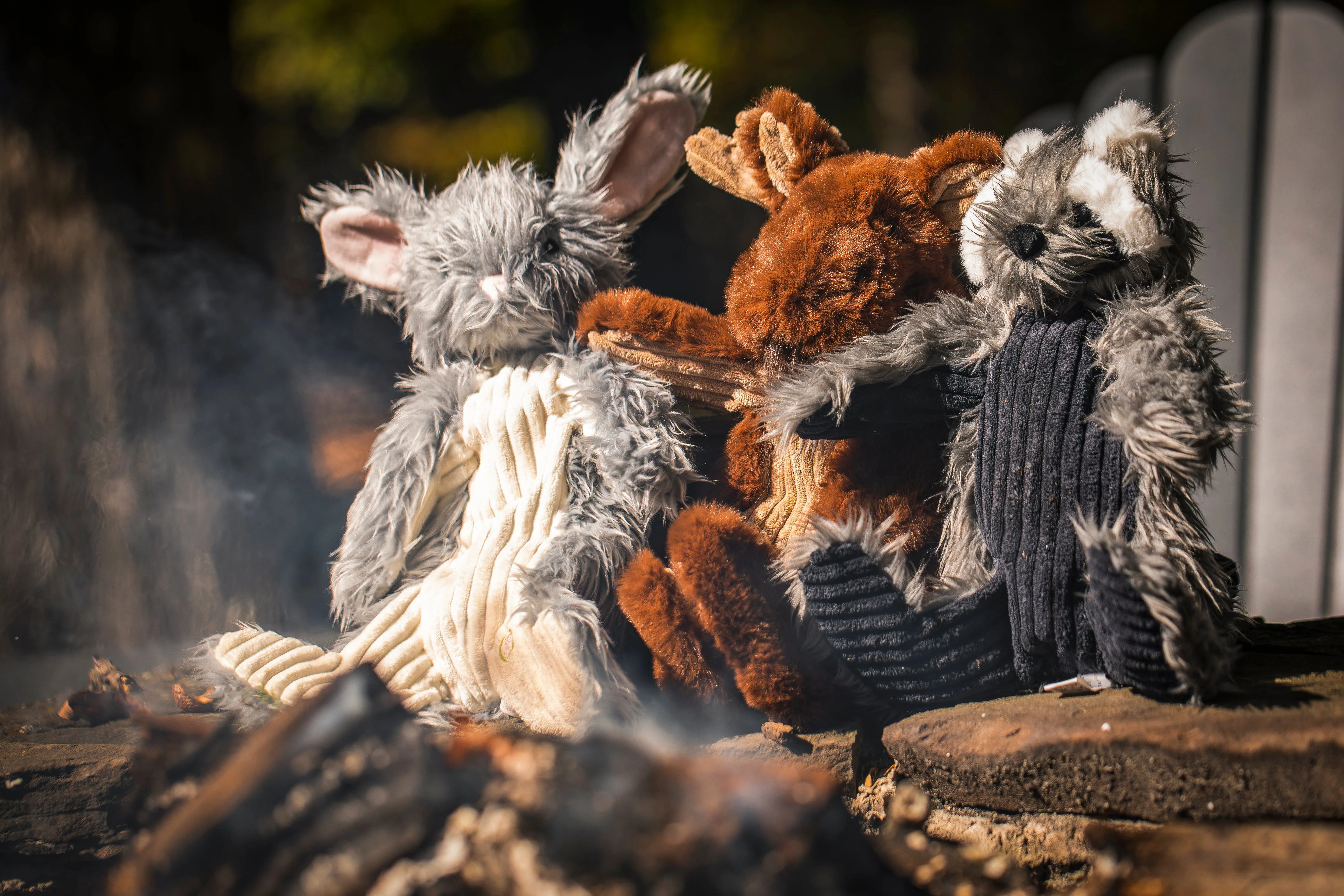Birch Bunny X-Brace™ Plush Dog Toy - Image 13