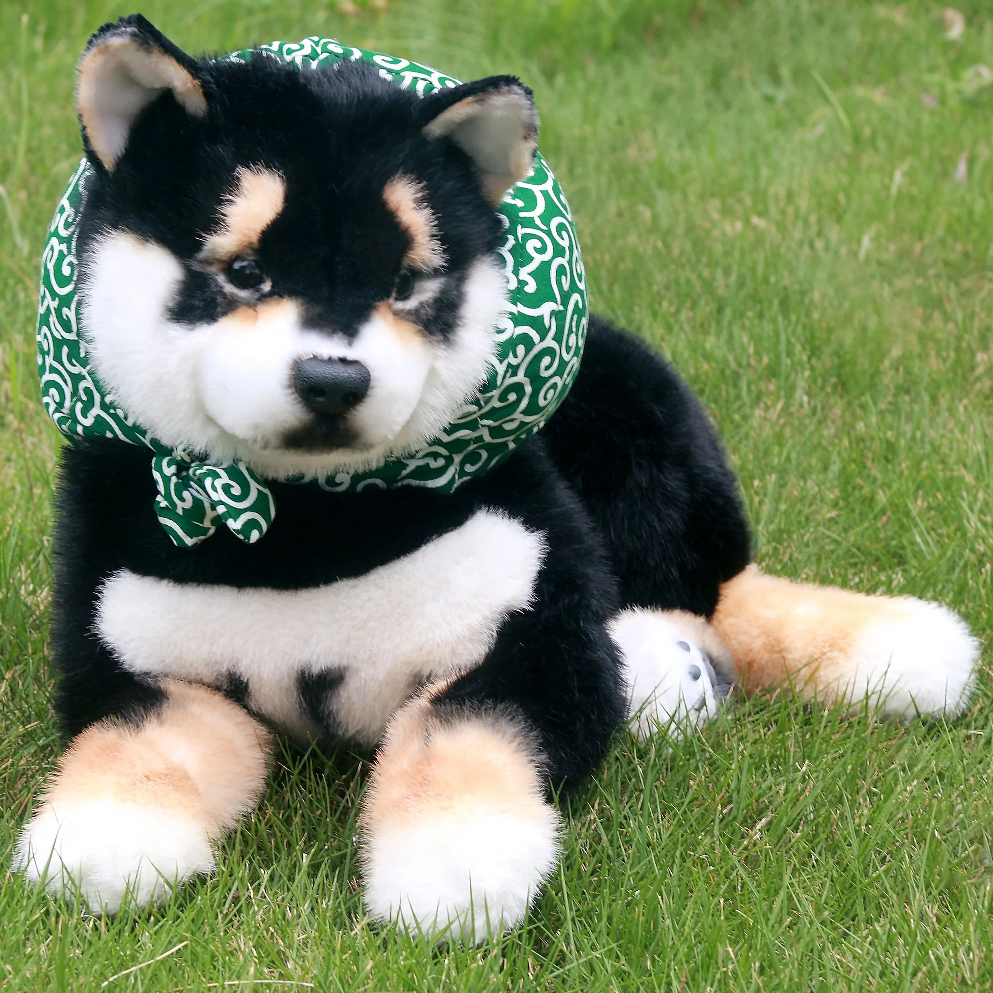 Black Shiba Inu Dog - Image 10