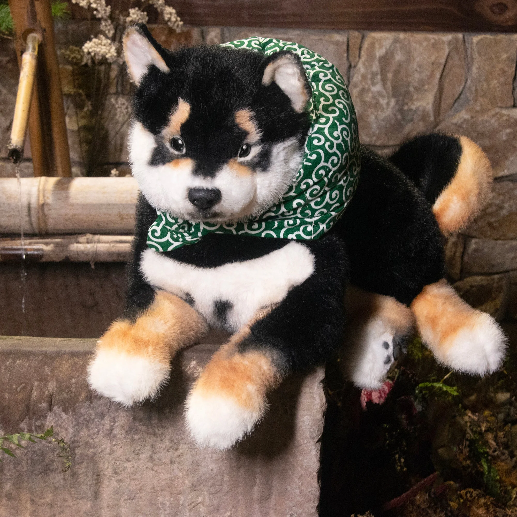 Black Shiba Inu Dog - Image 3