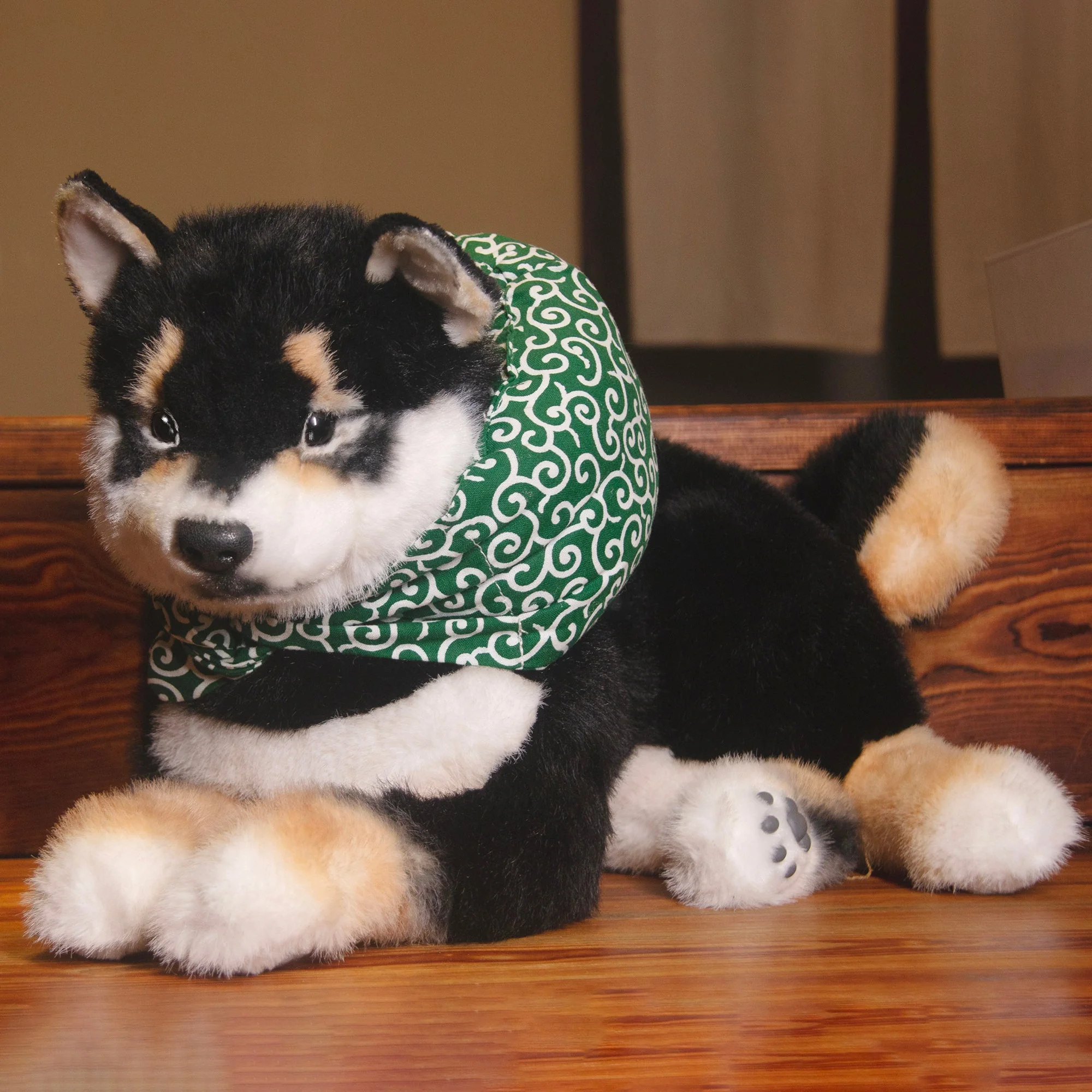 Black Shiba Inu Dog - Image 4