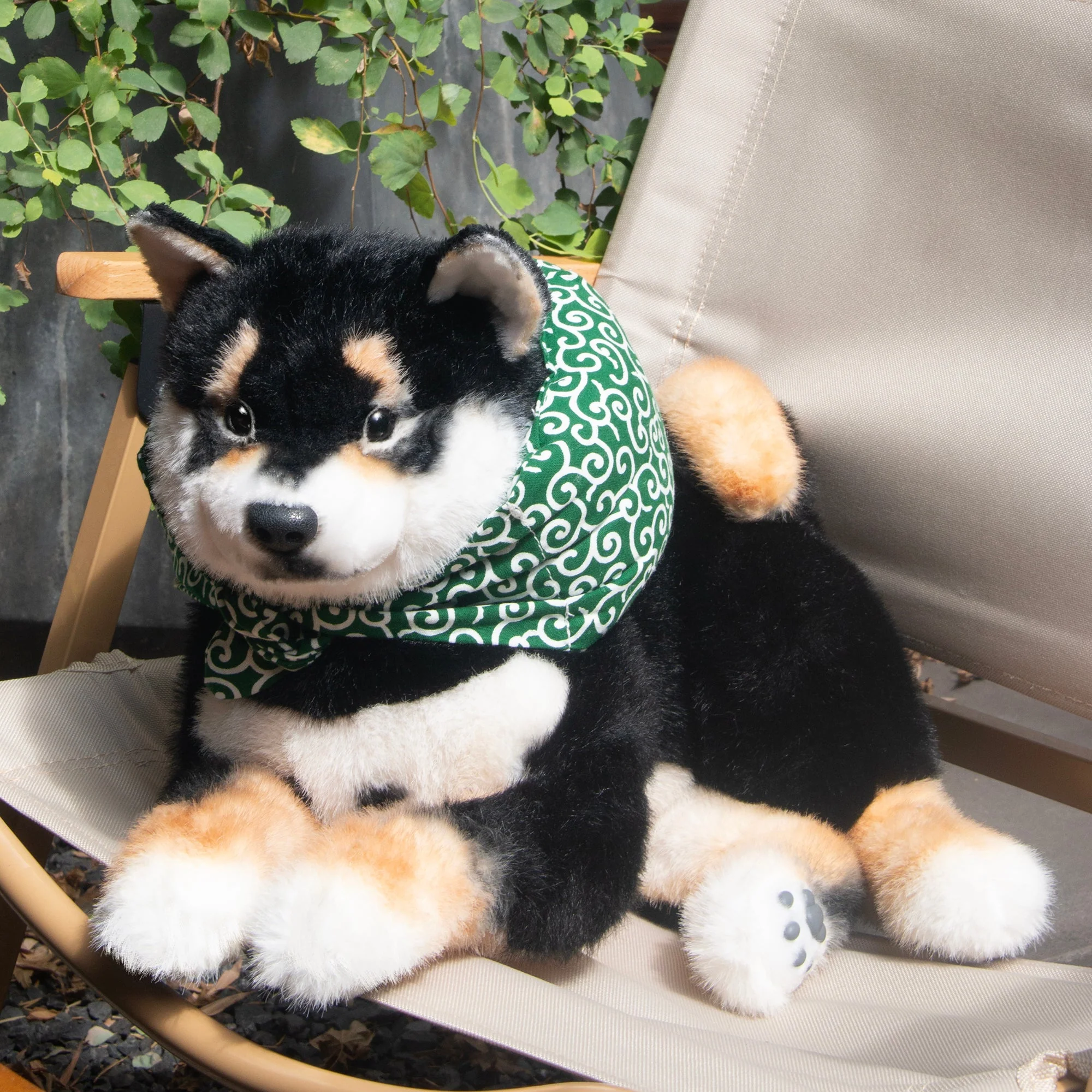 Black Shiba Inu Dog - Image 5