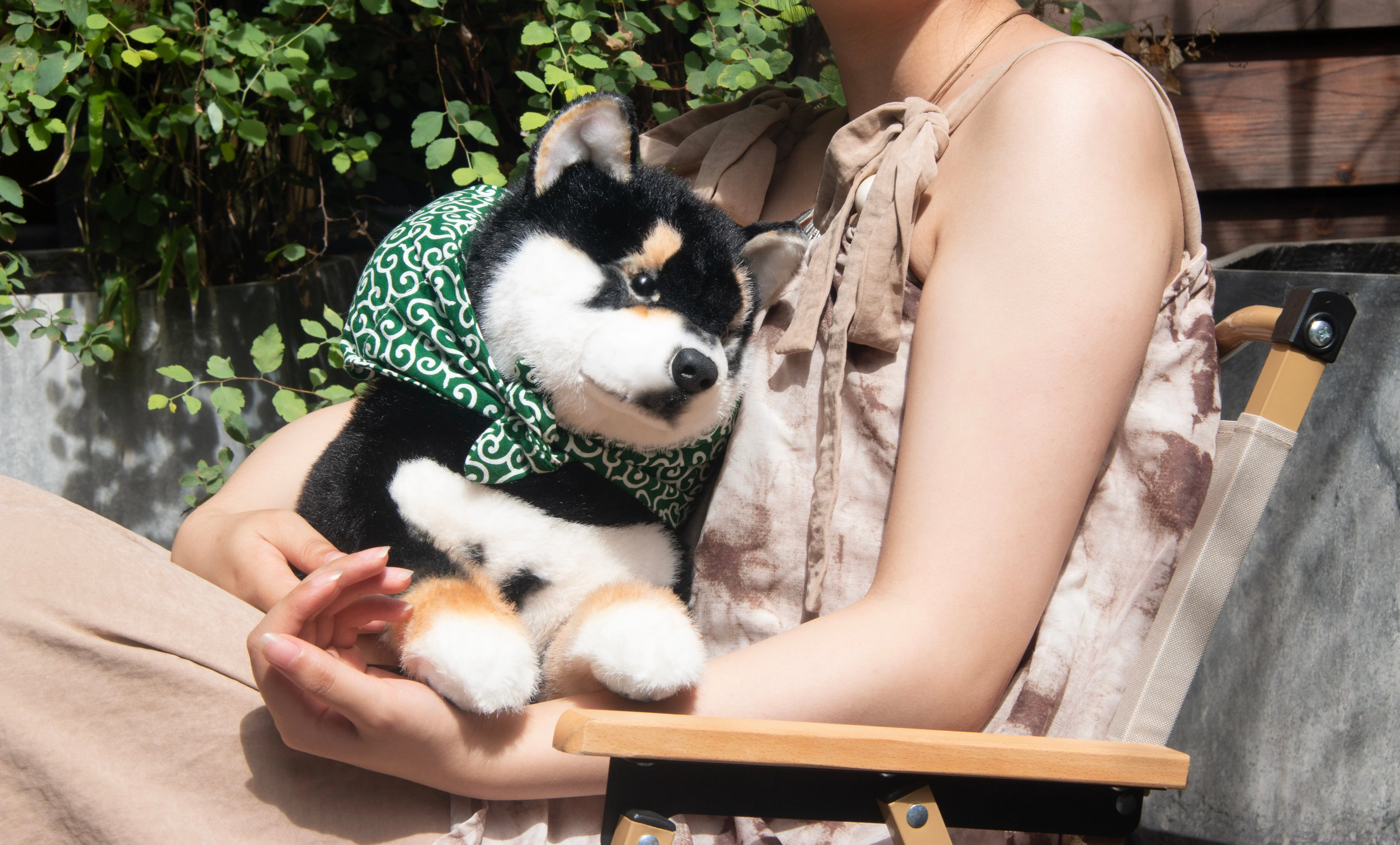 Black Shiba Inu Dog - Image 7