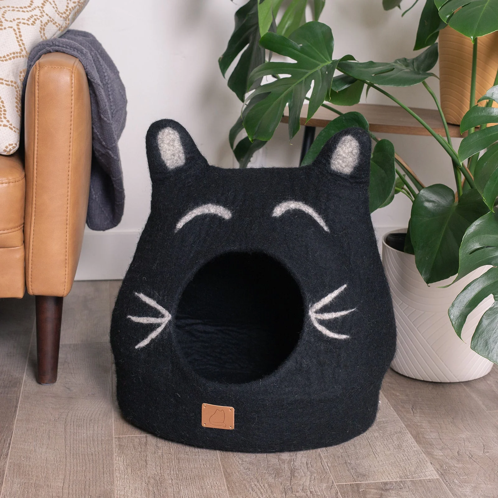 Boy Cat Design | Ear Style Cave - Image 3
