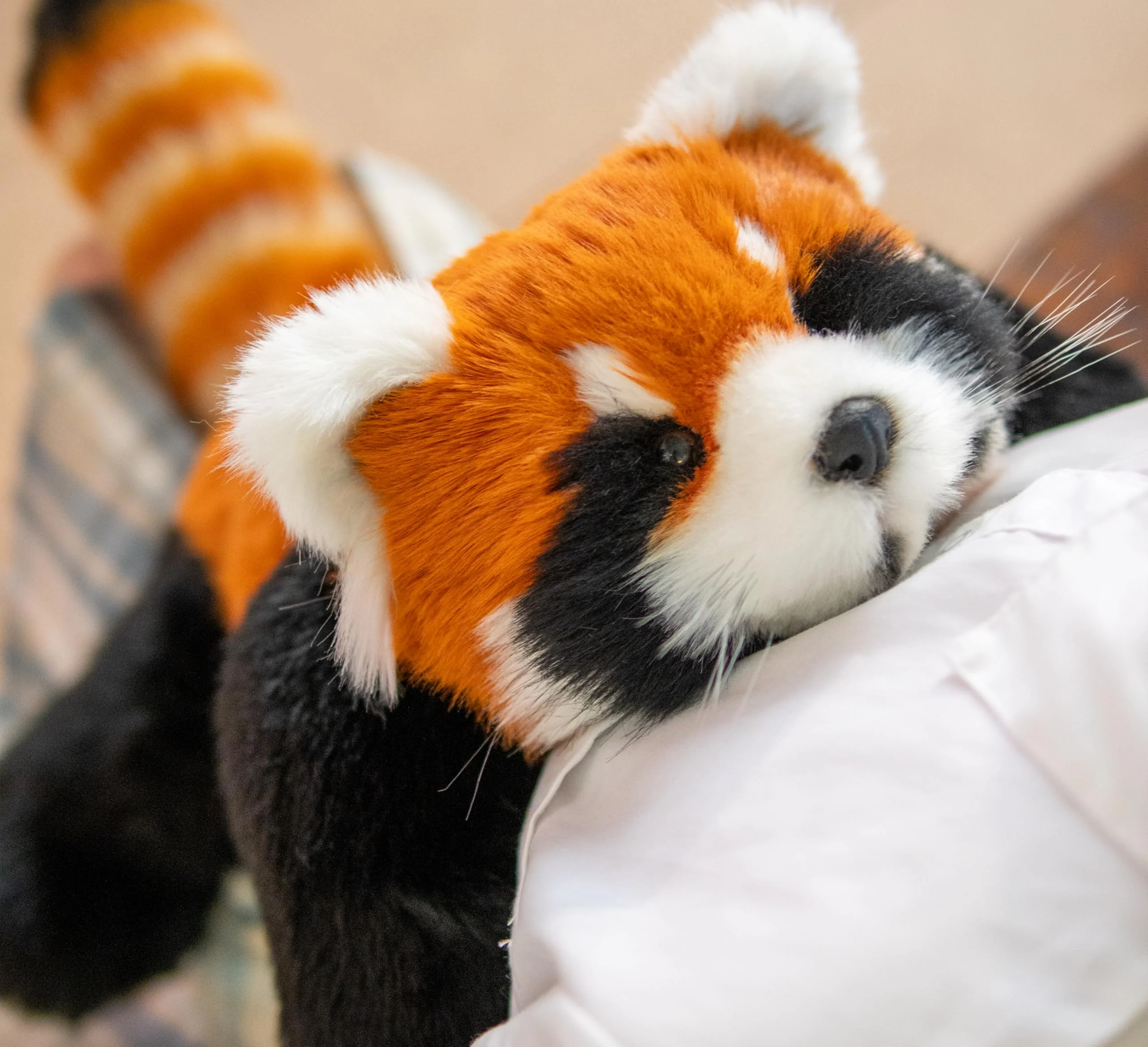 Breathing Red Panda Plush – Lifelike Calming Toy Gift - Image 2