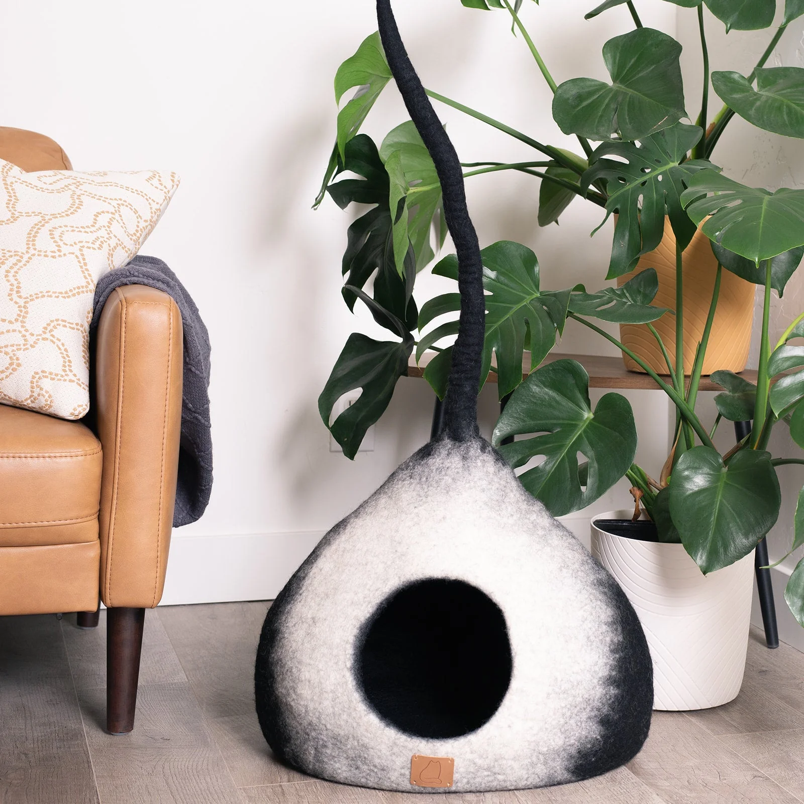 Burst Design | Tail Style Cave - Image 3