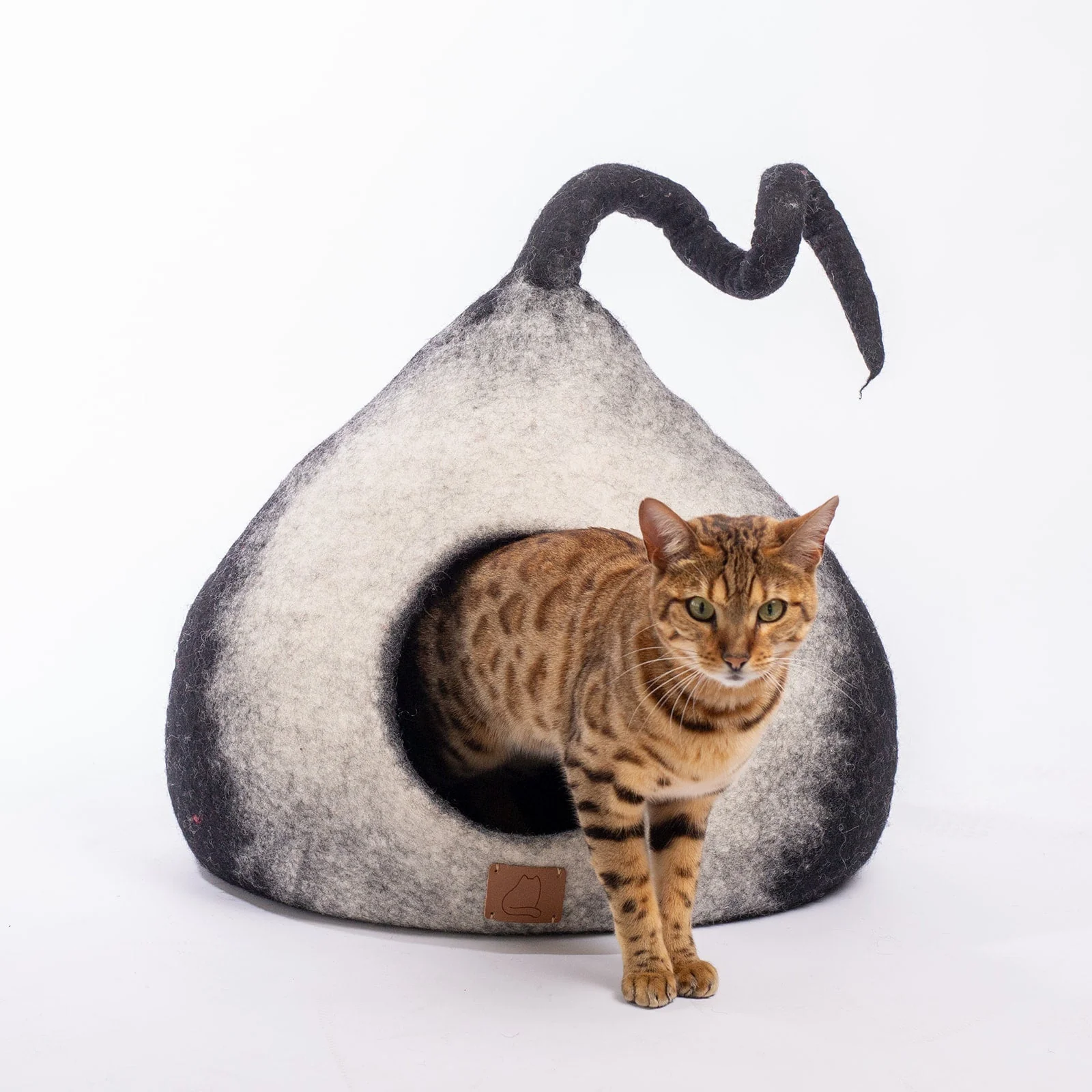 Burst Design | Tail Style Cave - Image 5
