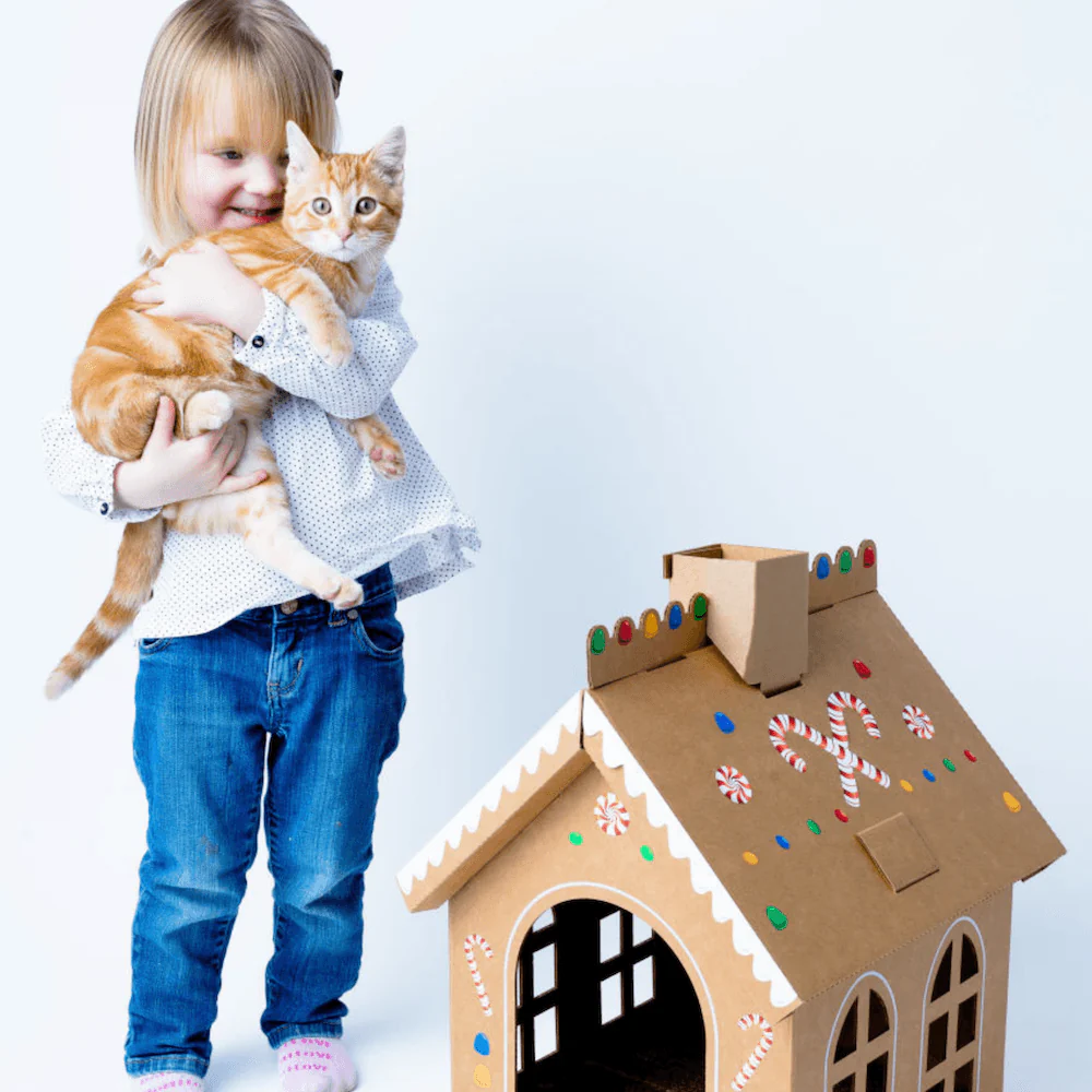 Cardboard Gingerbread Cat Playhouse Kit - Image 14