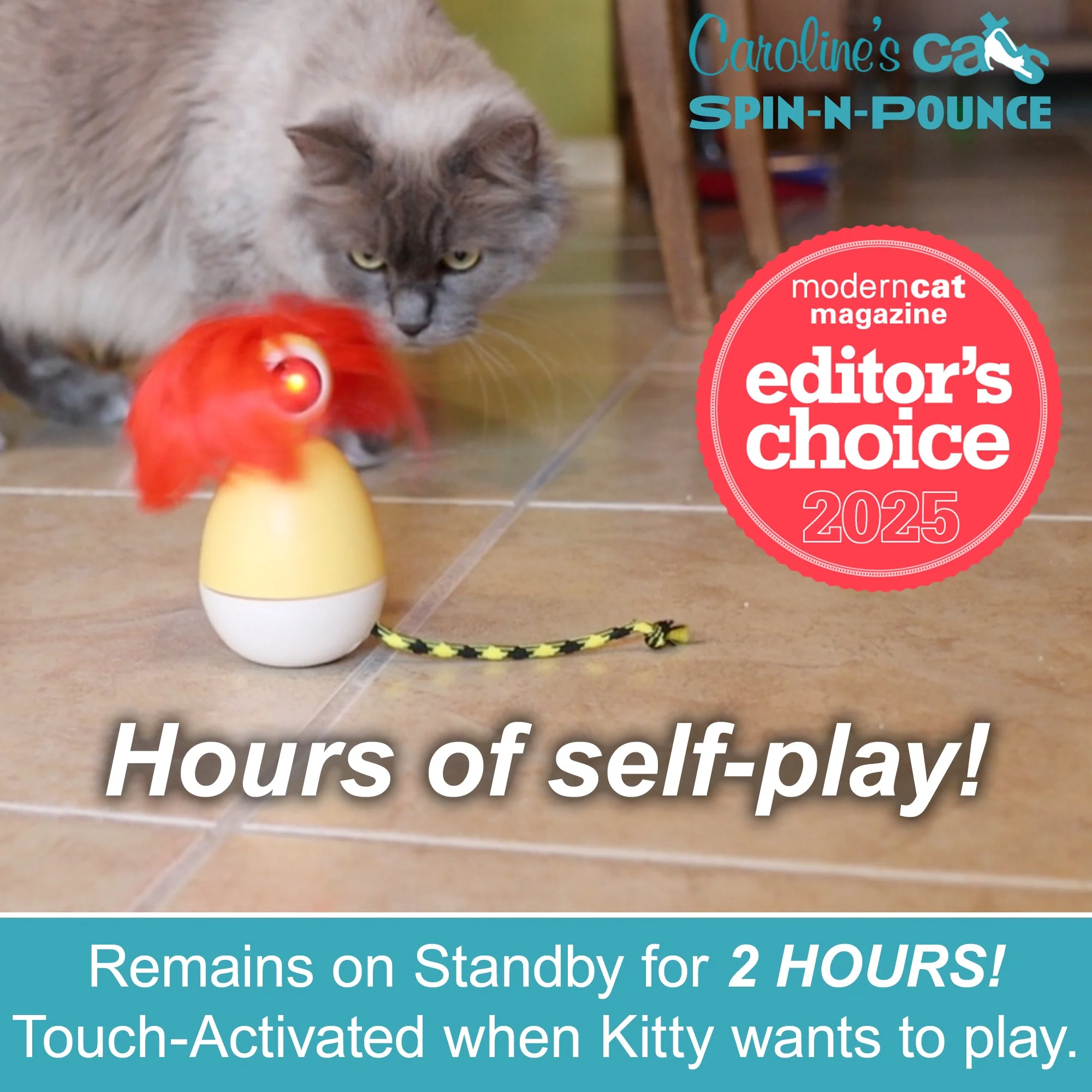 Caroline's Cats Spin-N-Pounce Rechargeable Automatic Interactive Indoor Dancing Cat Toy; Touch Sensor & Auto Shut Off, 360° Rotation, Silent Motor, LED Light, Simulates Prey for Hunting & Exercise - Image 3
