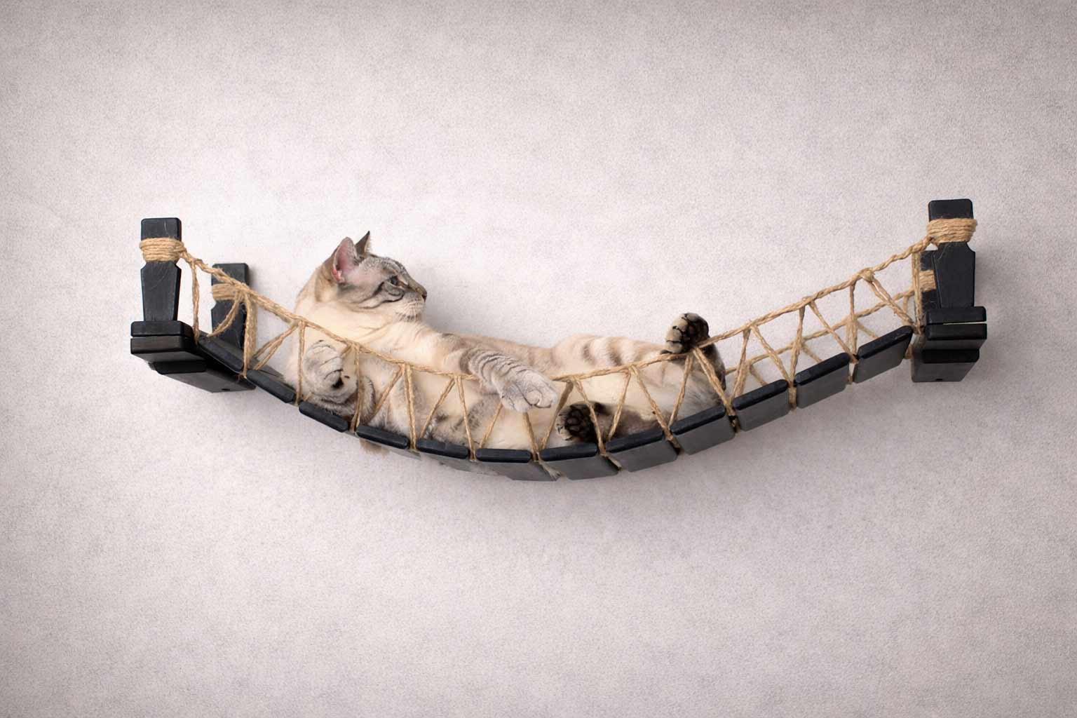 Cat Bridge for Wall
