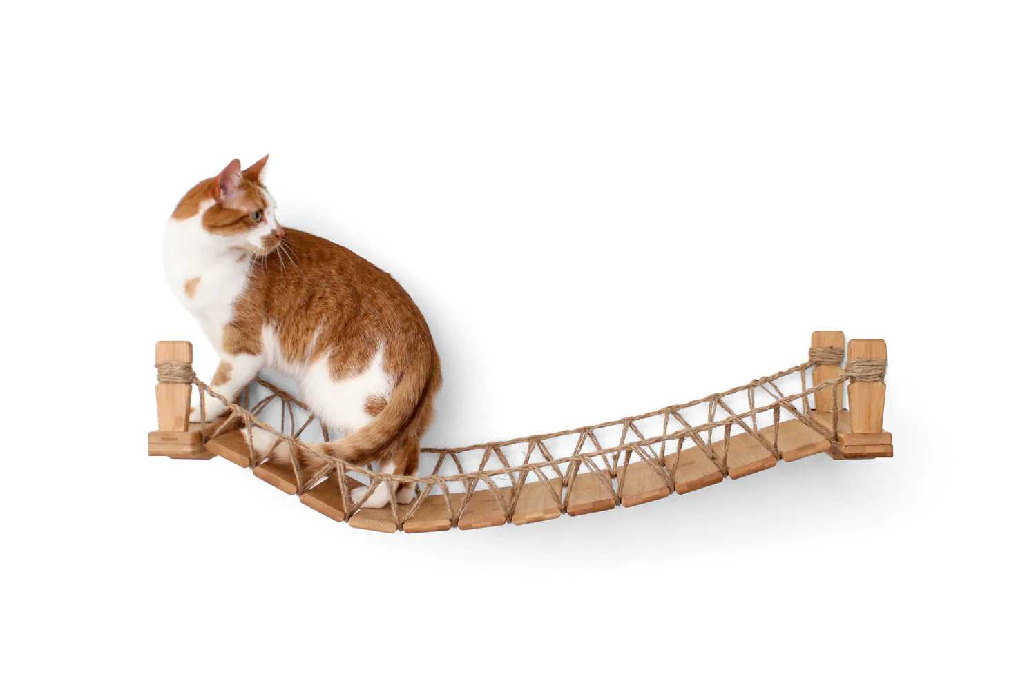 Cat Bridge for Wall - Image 13