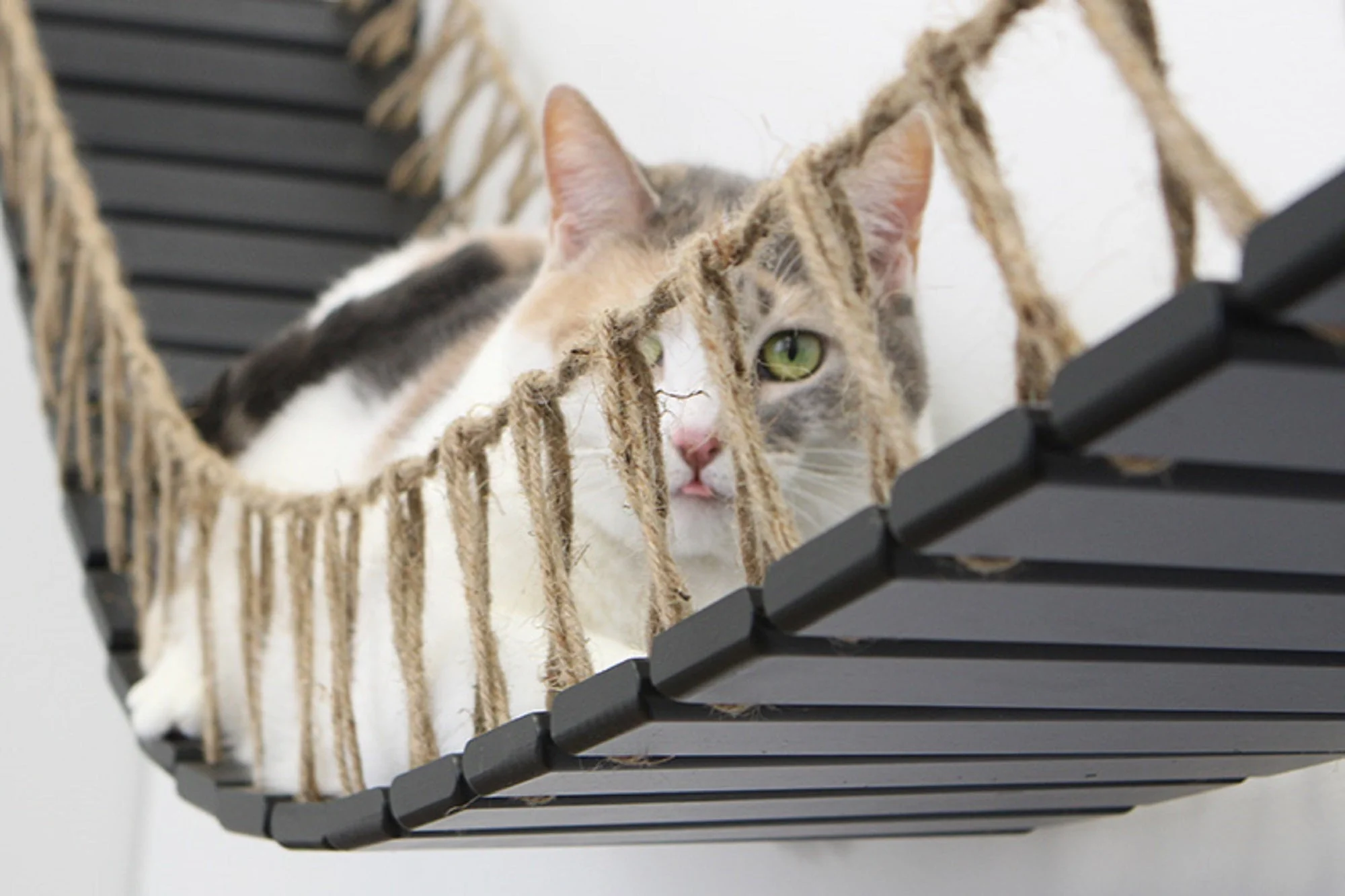 Cat Bridge for Wall - Image 14