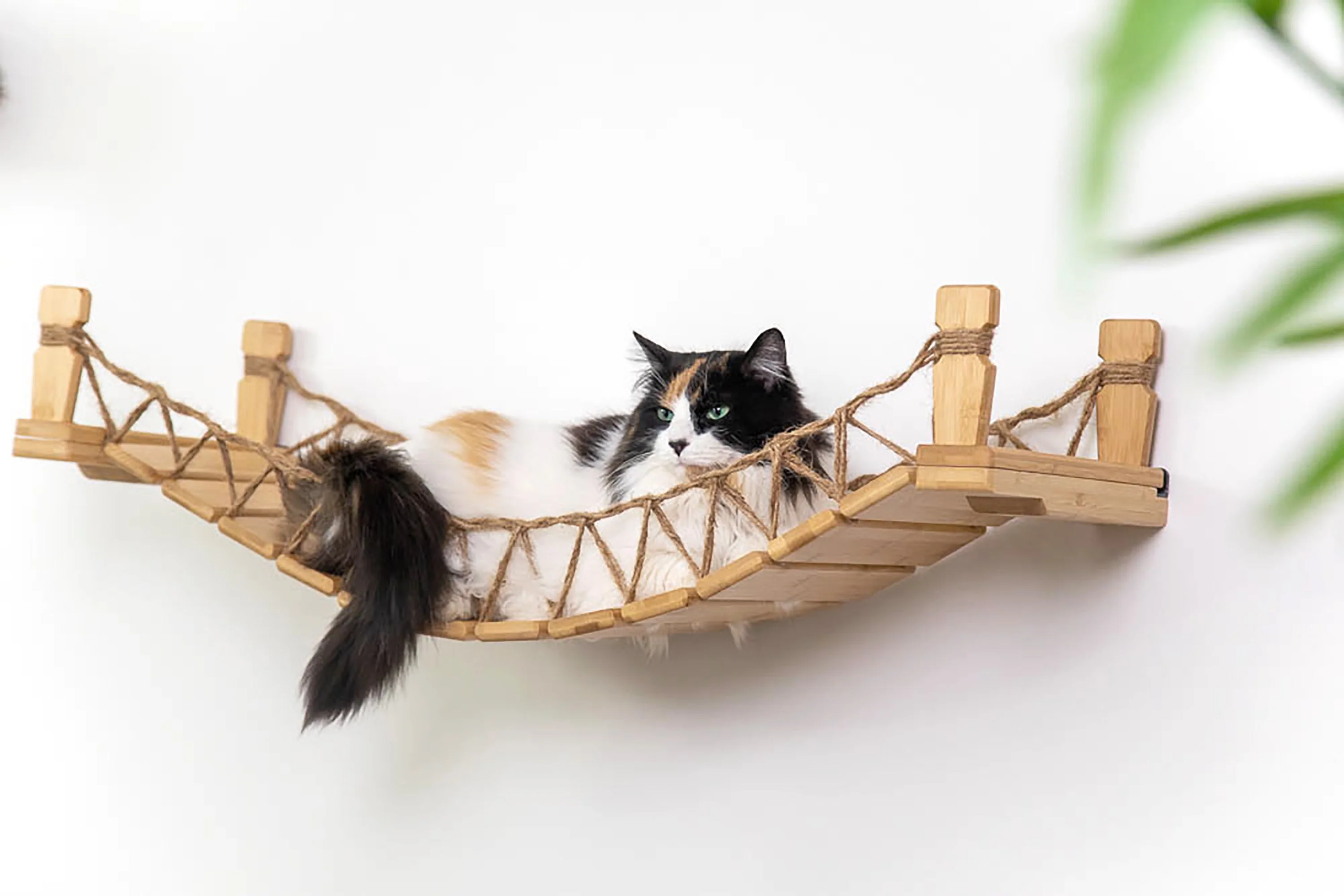 Cat Bridge for Wall - Image 5