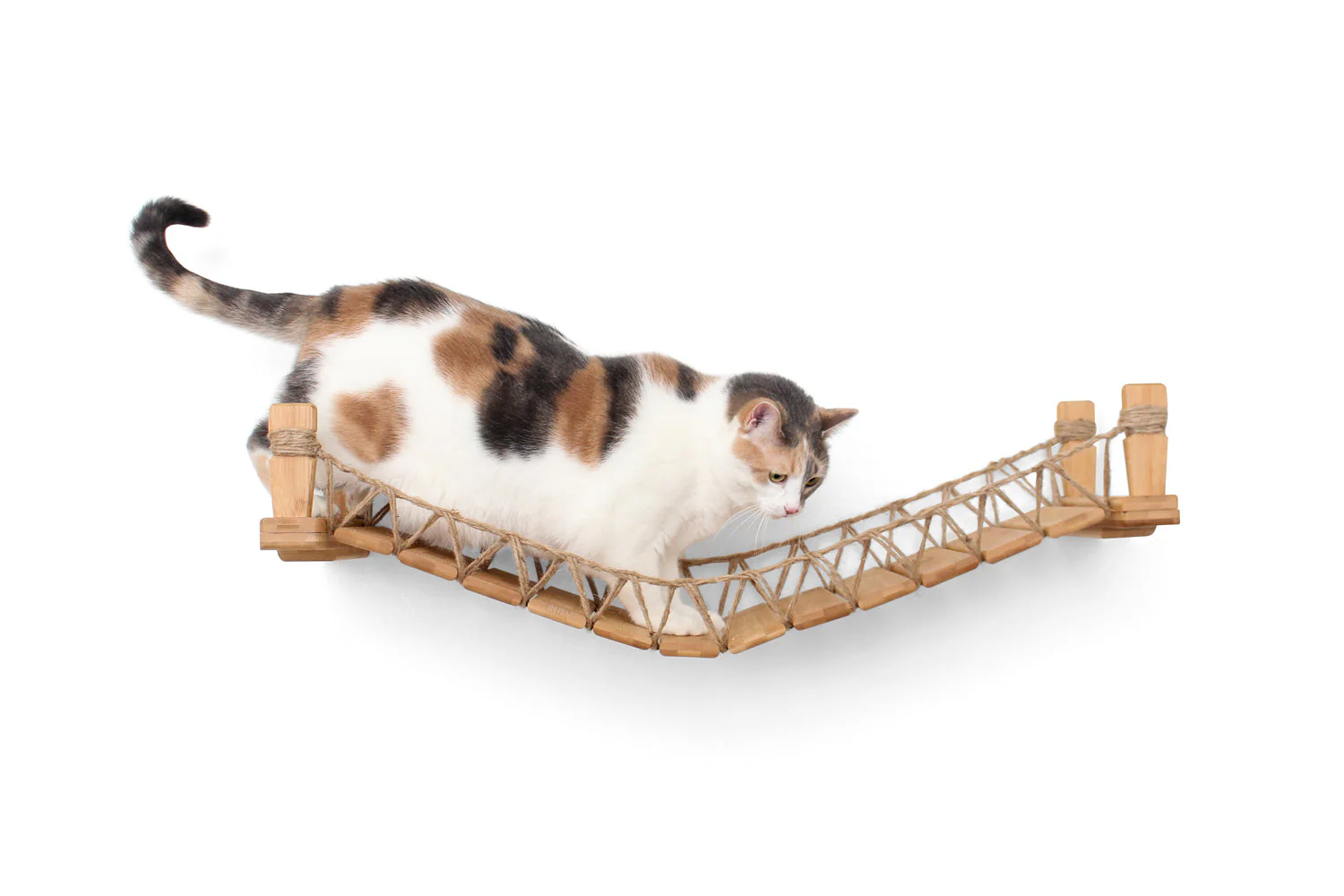 Cat Bridge for Wall - Image 7