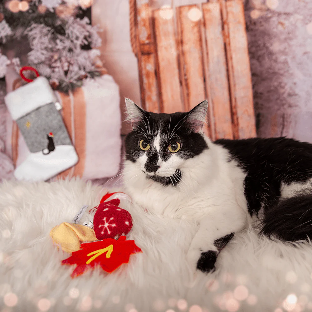 Cat Christmas Stocking with Toys - Image 6