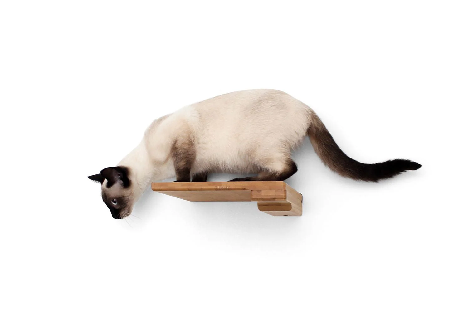 Cat Climbing Shelf - Image 14