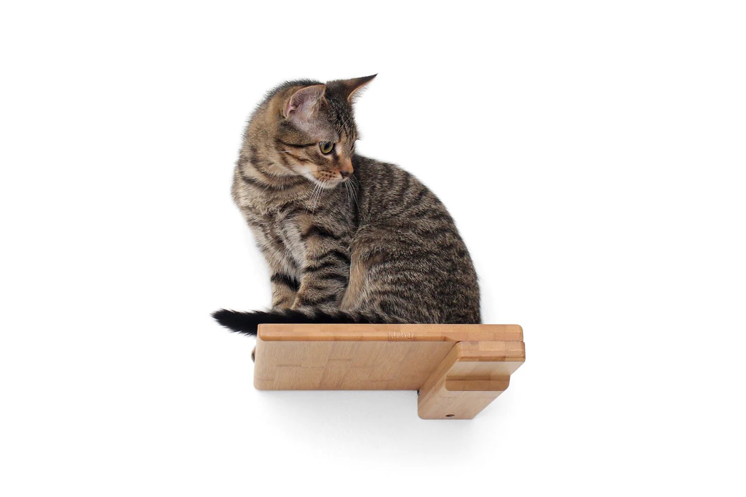 Cat Climbing Shelf - Image 18