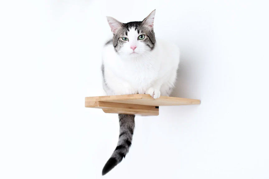 Cat Climbing Shelf - Image 2