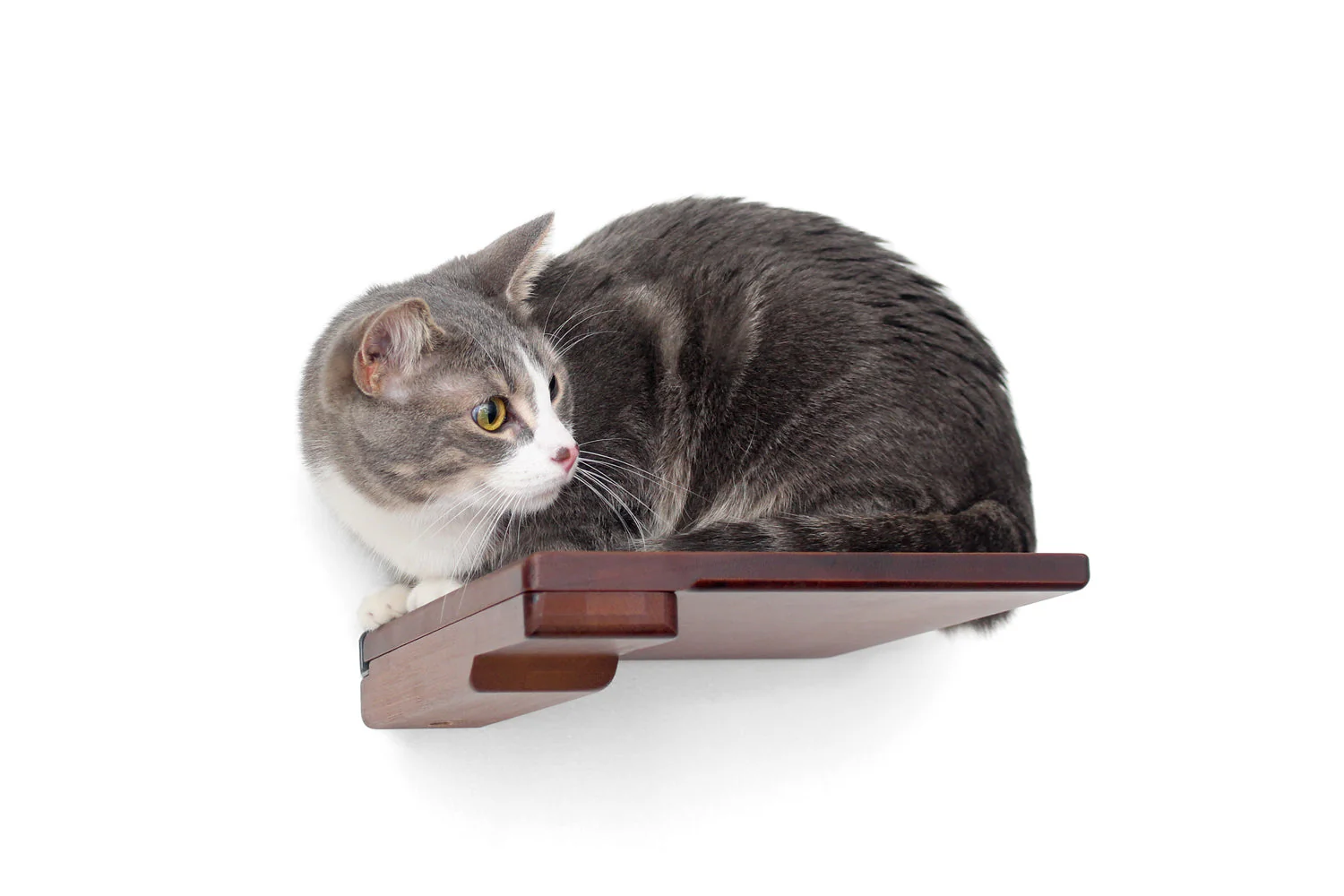 Cat Climbing Shelf - Image 20