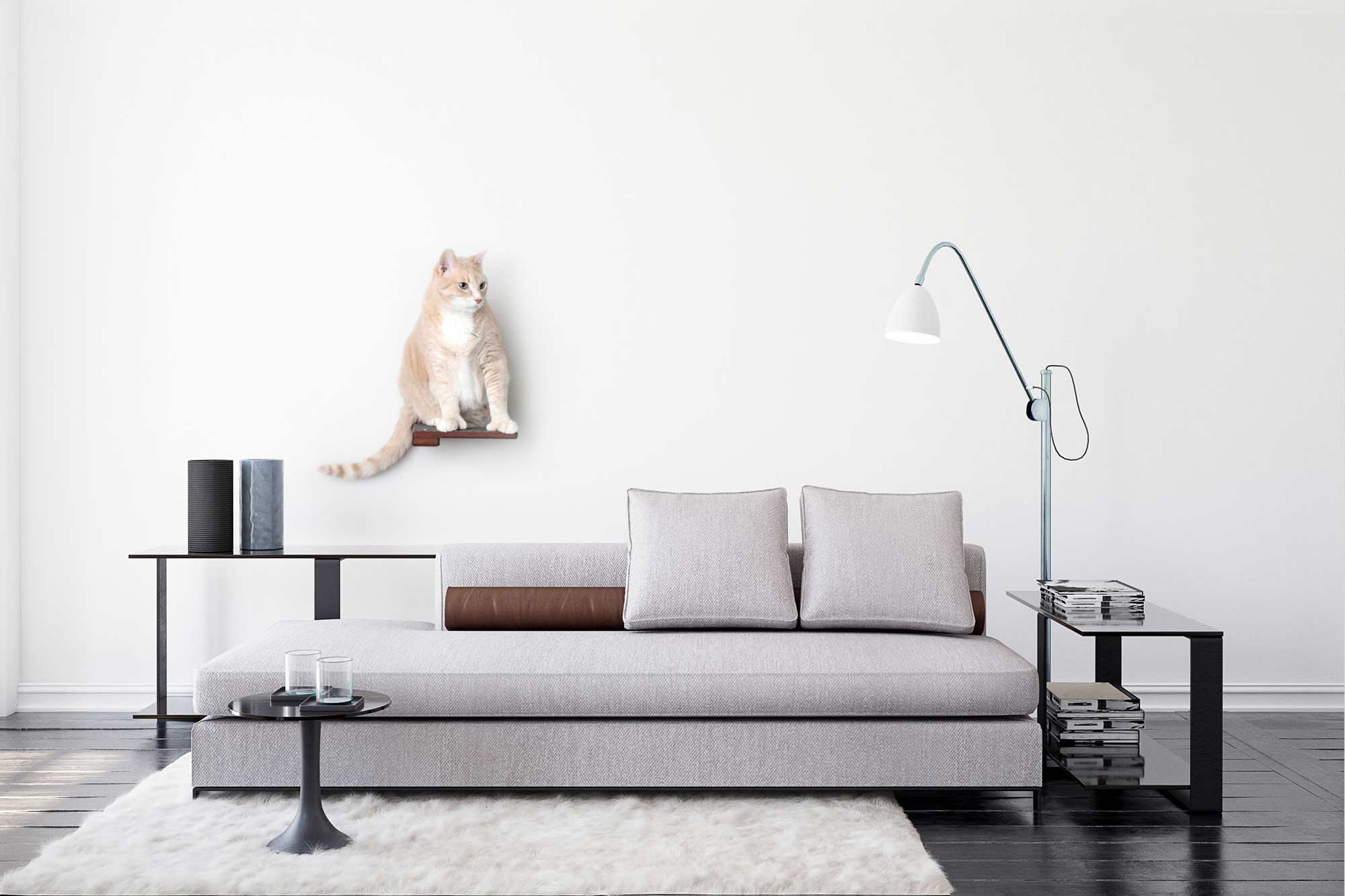 Cat Climbing Shelf - Image 23