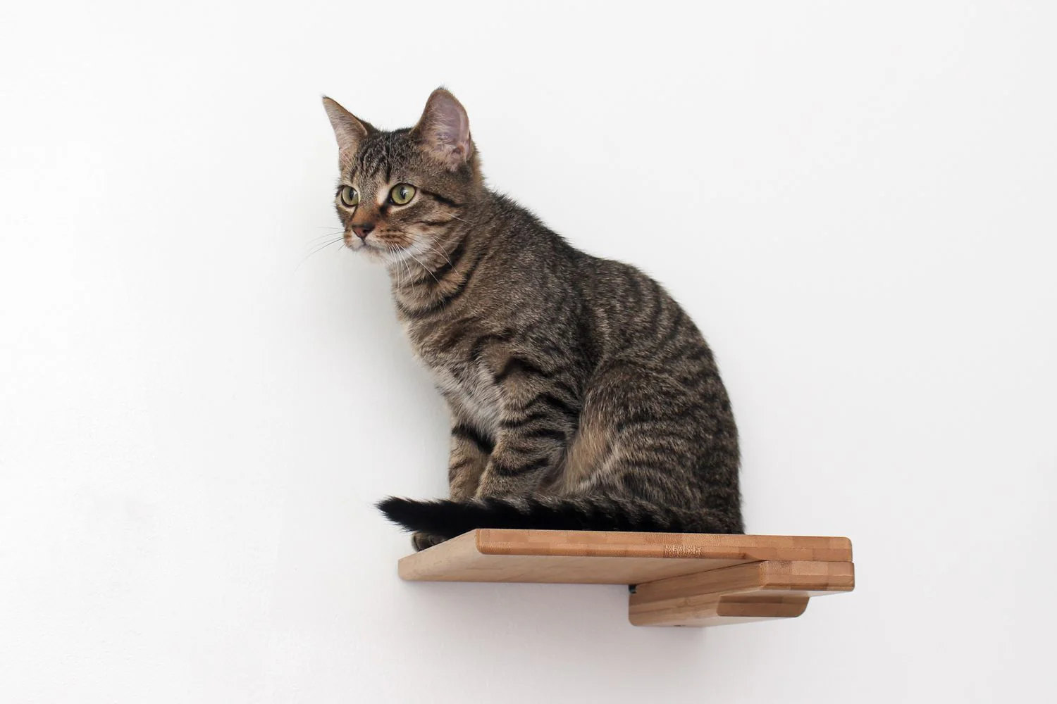 Cat Climbing Shelf - Image 6