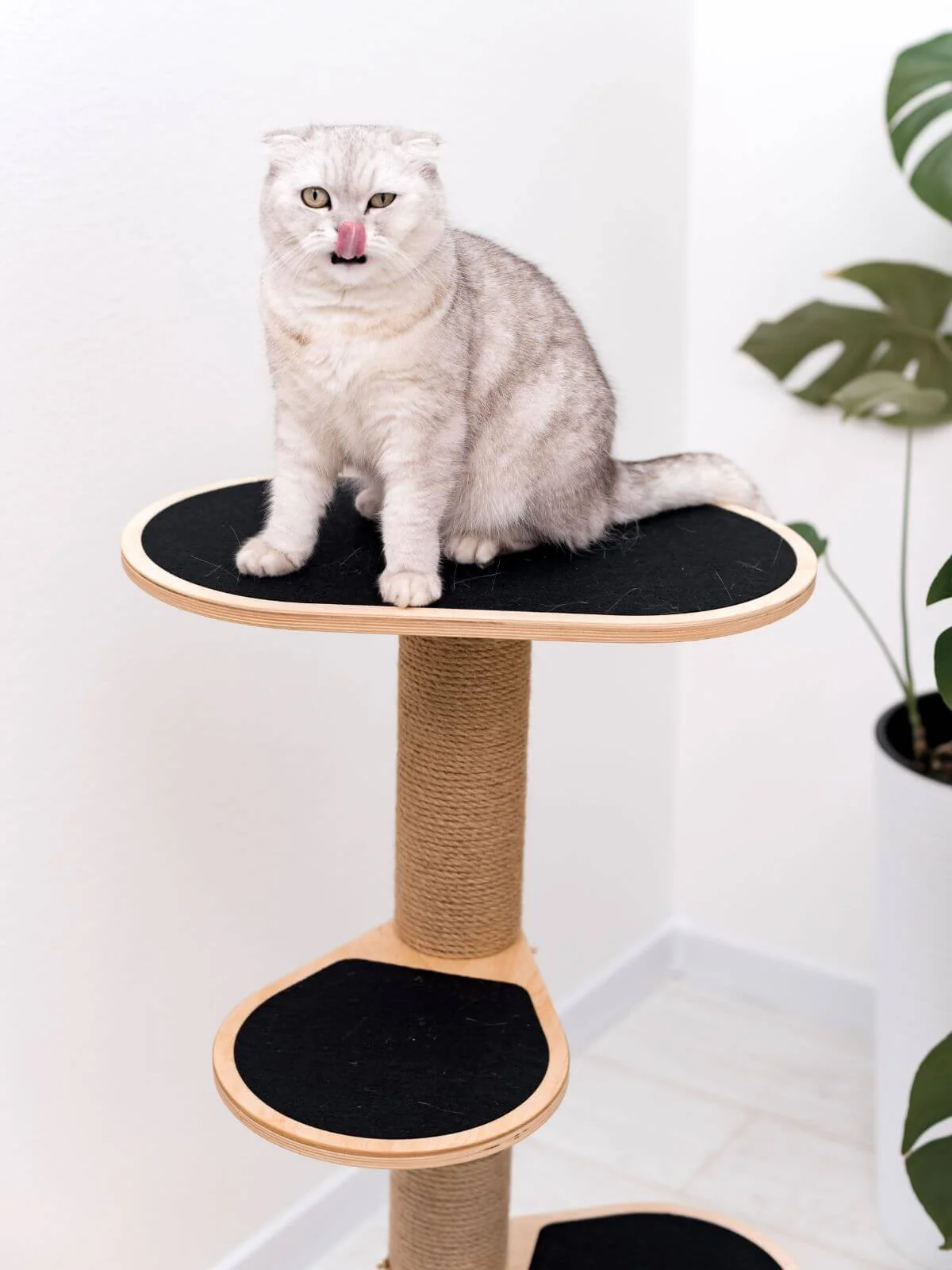 Cat Climbing Tower - Image 2