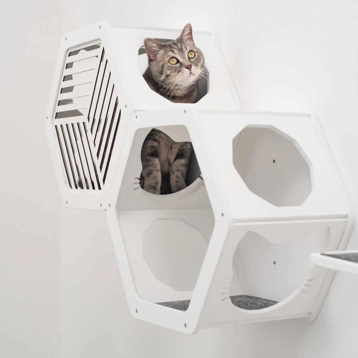 Cat Climbing Wall Shelves White - Image 3