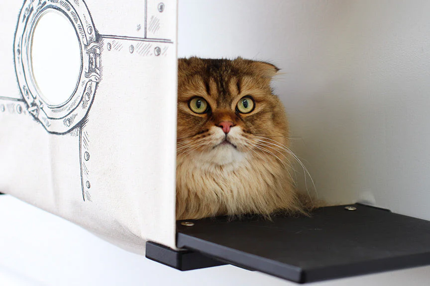 Cat Cubby for Wall - Covered Cat Bed - Image 4