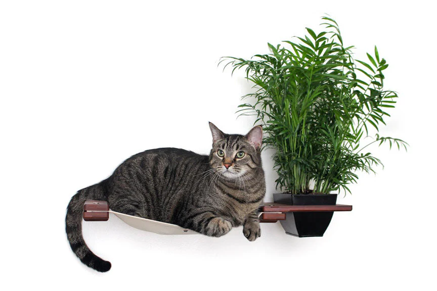 Cat Hammock Wall with Planter