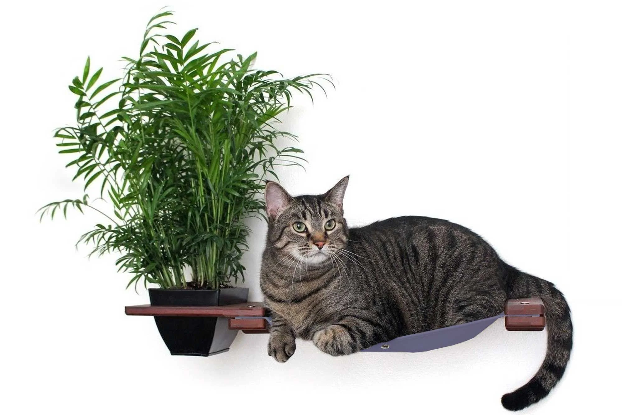 Cat Hammock Wall with Planter - Image 11