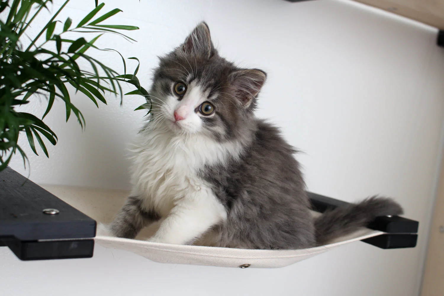 Cat Hammock Wall with Planter - Image 2