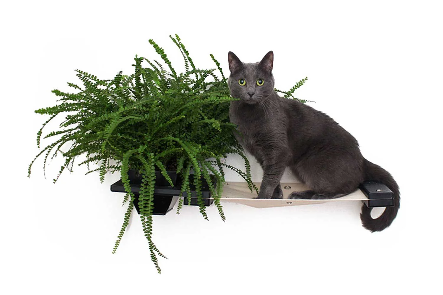 Cat Hammock Wall with Planter - Image 20