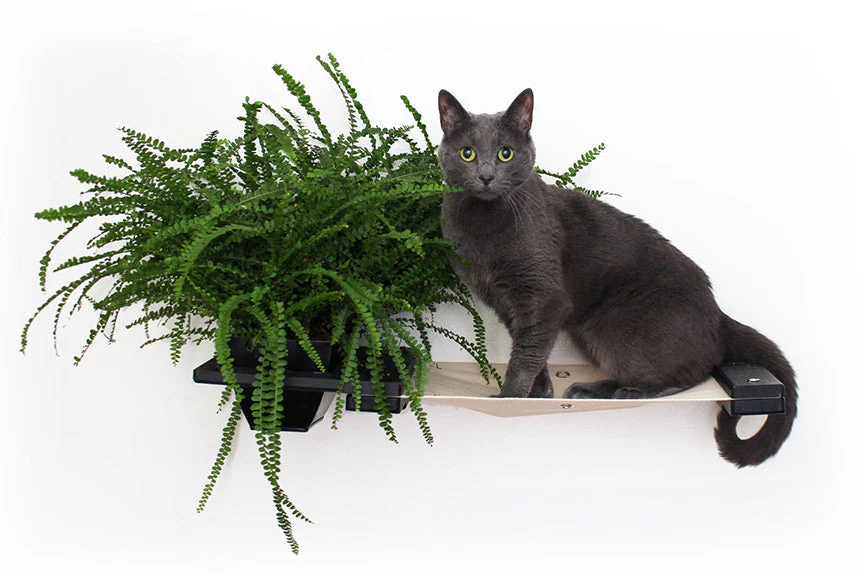 Cat Hammock Wall with Planter - Image 23