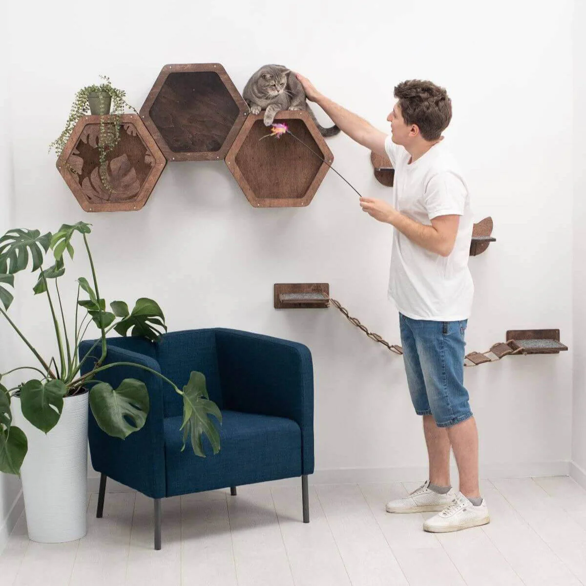Cat Hexagon Shelf Dark Walnut - Image 4