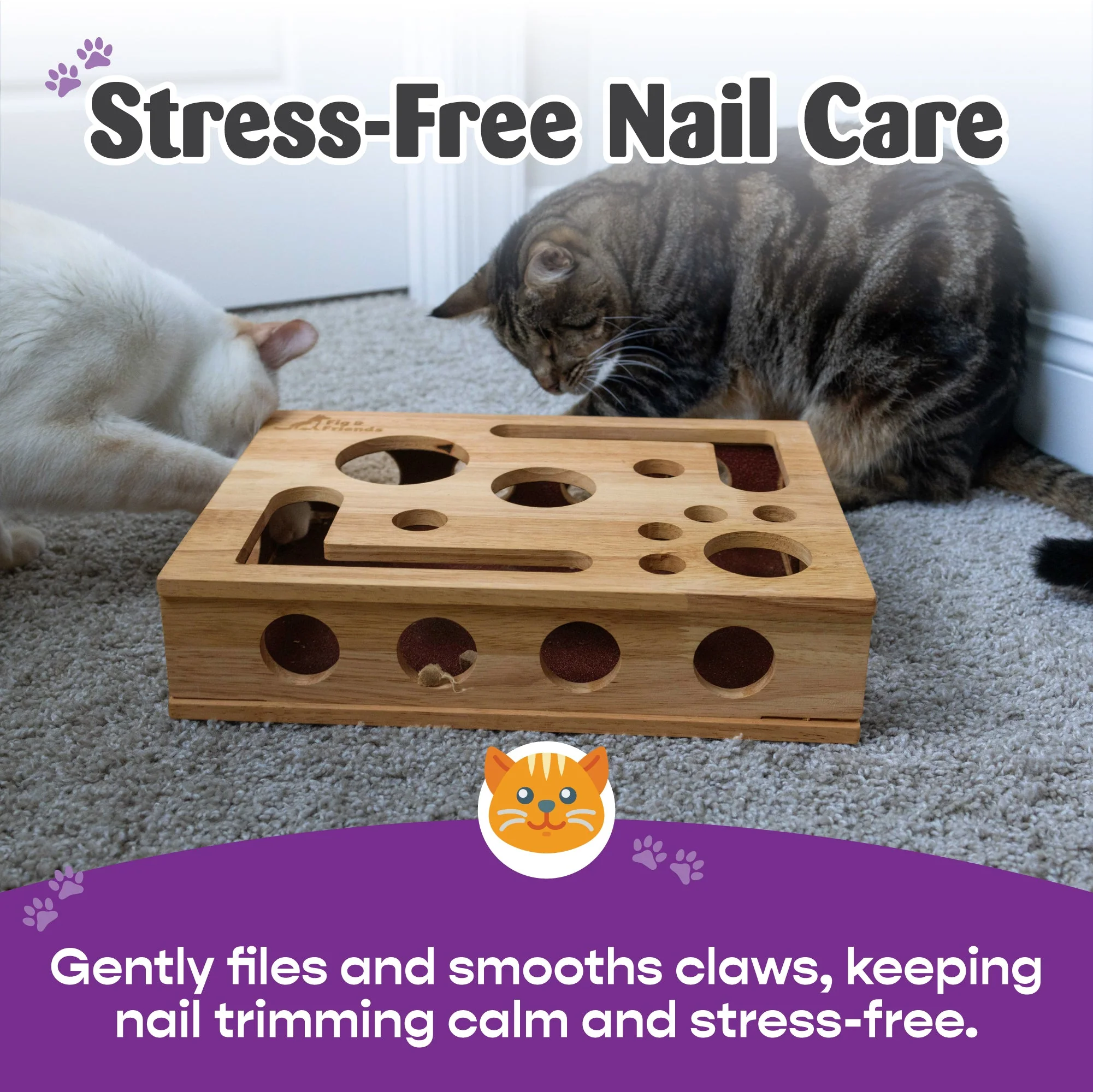 Cat Nail File Enrichment Box - Image 3
