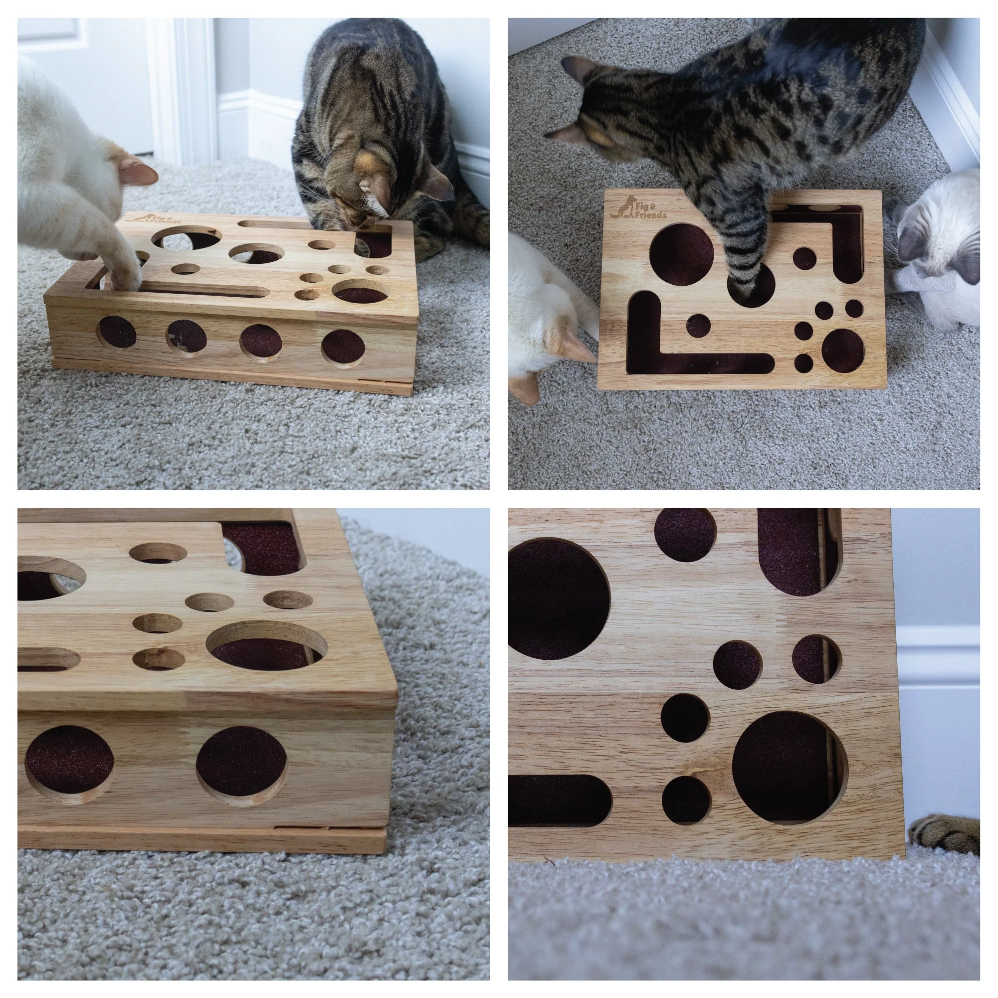 Cat Nail File Enrichment Box - Image 4
