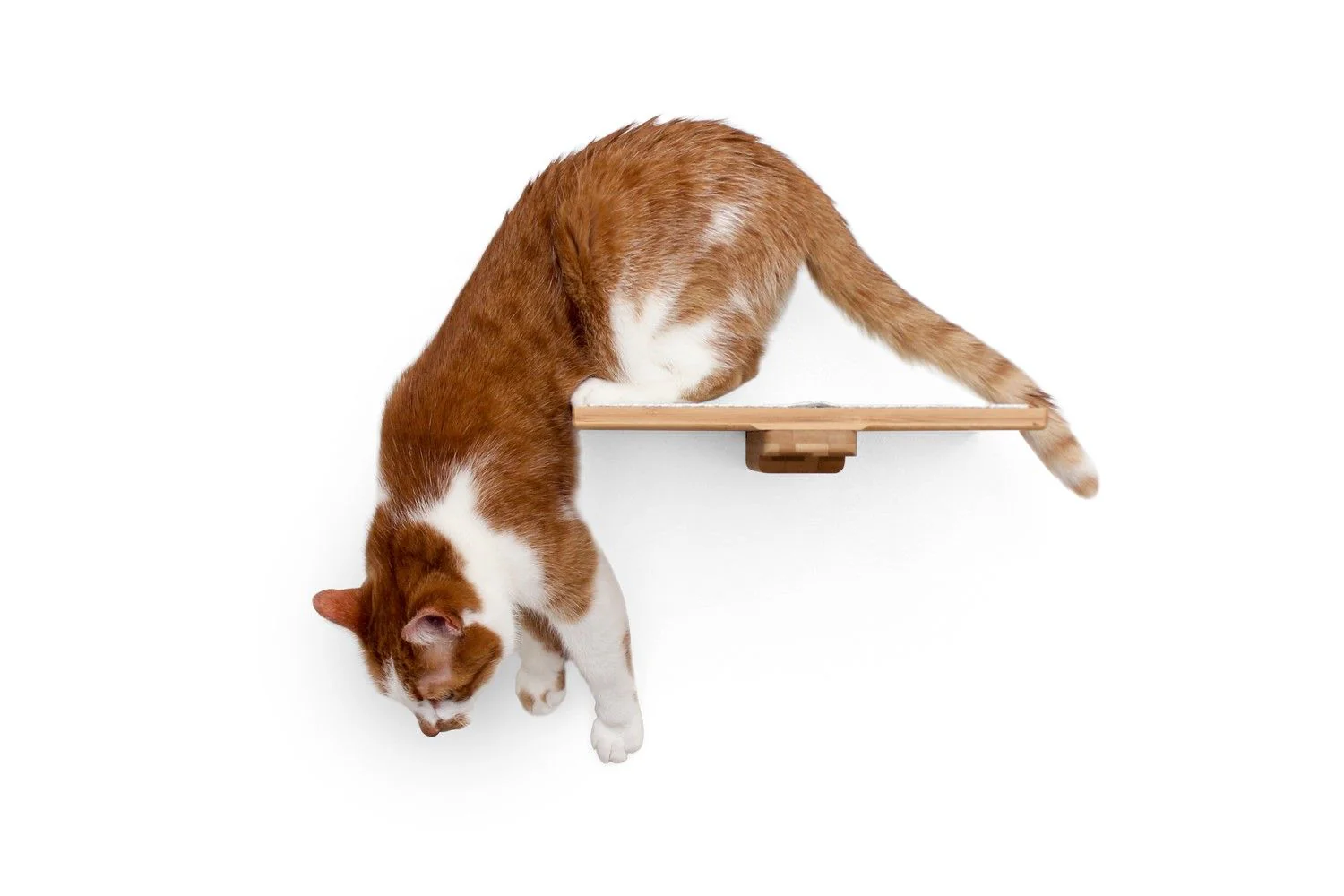 Cat Perch - Wall Mounted and Wooden - Image 6
