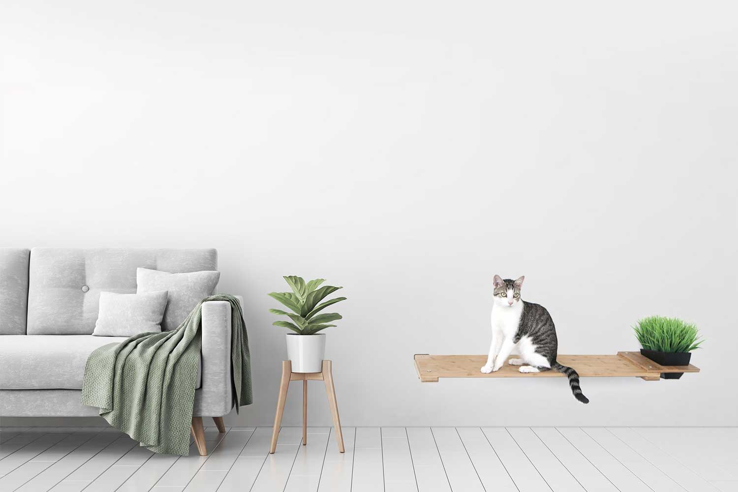 Cat Plant Stand for Wall - Image 10