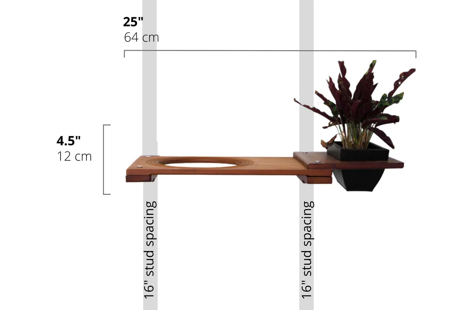 Cat Plant Stand for Wall - Image 11
