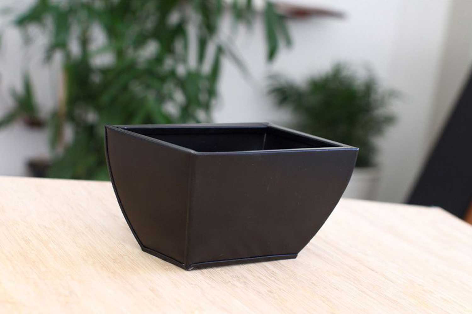 Cat Plant Stand for Wall - Image 13