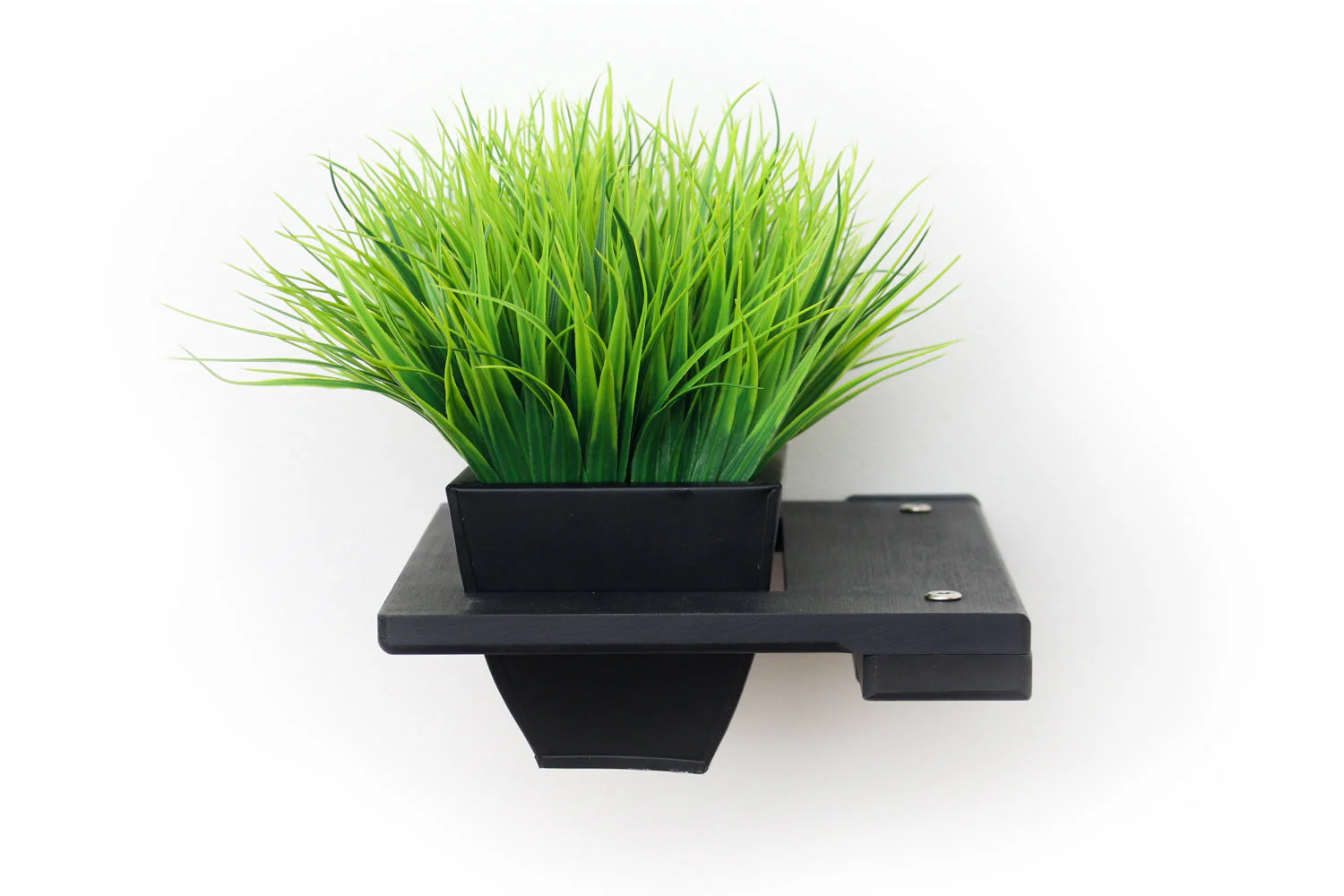 Cat Plant Stand for Wall - Image 14