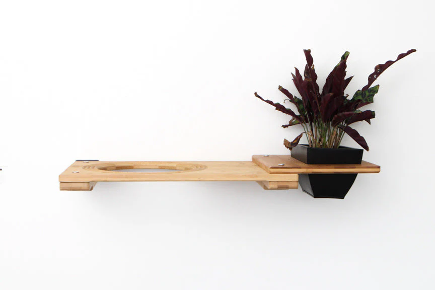 Cat Plant Stand for Wall - Image 17
