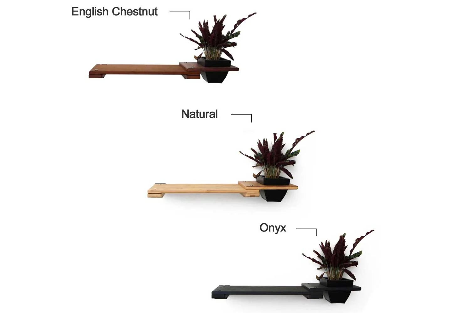 Cat Plant Stand for Wall - Image 2