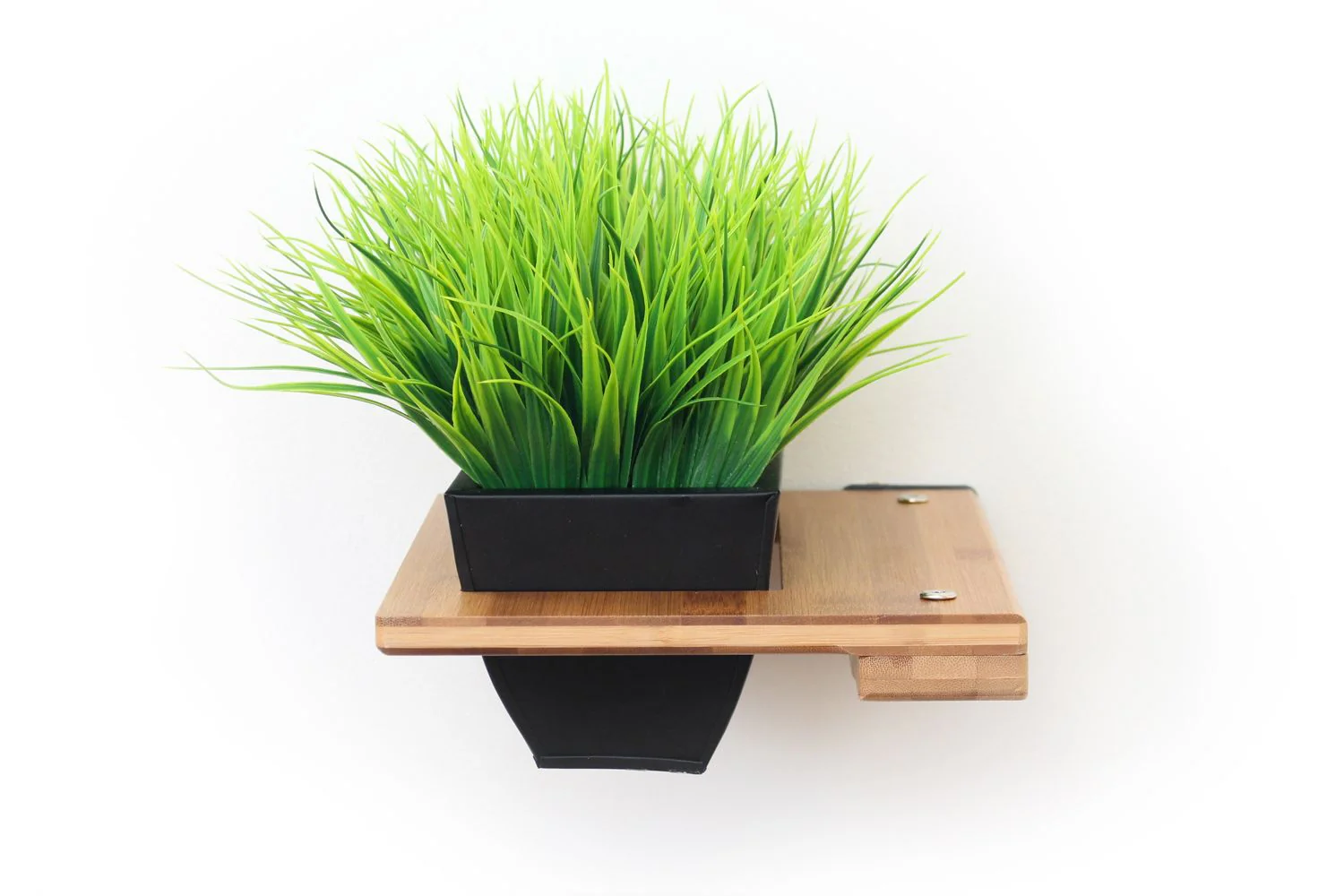 Cat Plant Stand for Wall - Image 20