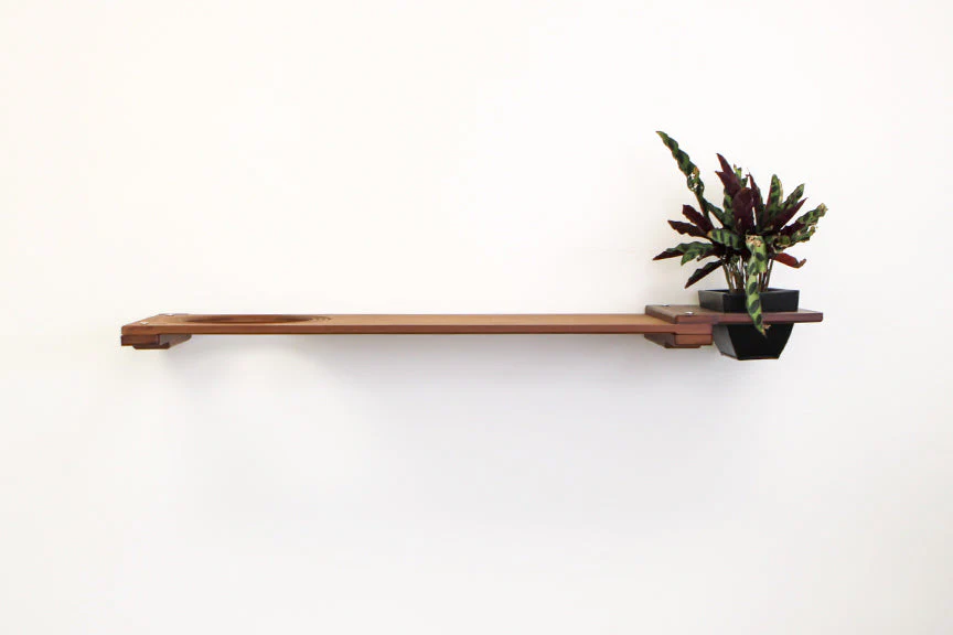 Cat Plant Stand for Wall - Image 21